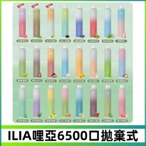 ILIA BAR 4 哩啞一次性拋棄式電子煙｜6500口大容量