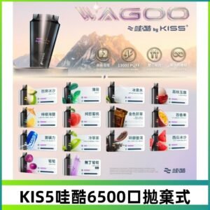 Kis5電子煙 Kiss拋棄式哇酷|WAGOO6500口一次性電子煙