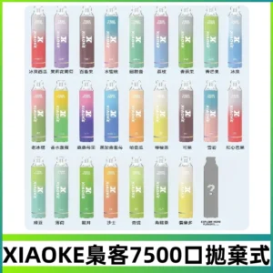 梟客XIAOKE|7500口可發光拋棄式電子煙 跑馬燈一次性